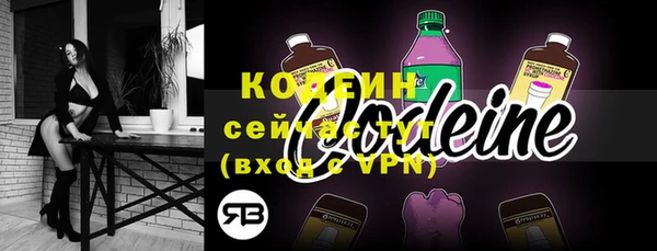 индика Балахна