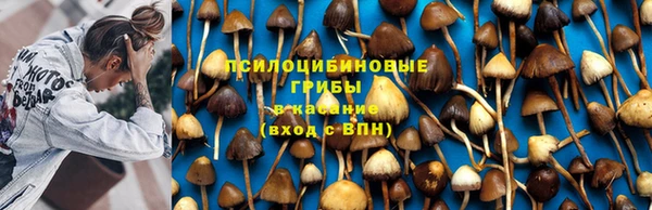 мяу мяу кристалл Арсеньев
