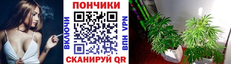 Канабис тримм  Сургут 